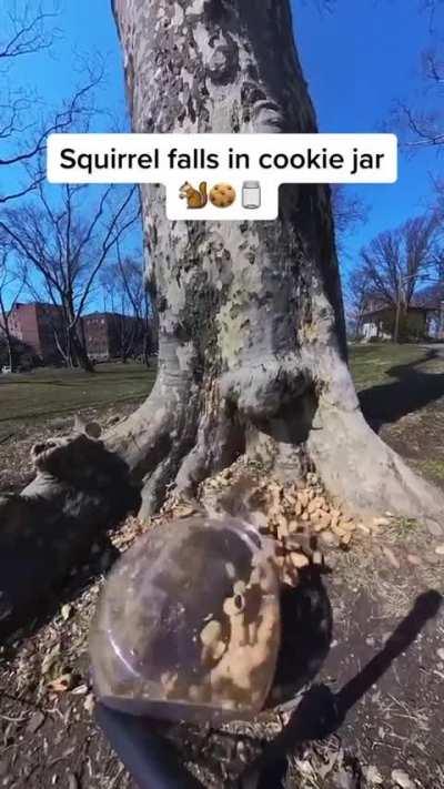 🐿️