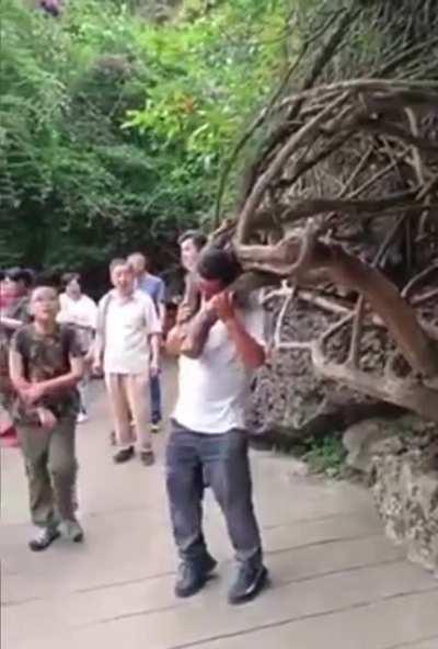 Selfie using a tree branch as a props
