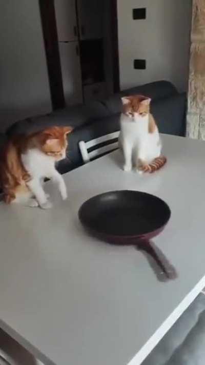 A scientist in action