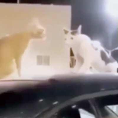 Send this to a friend when they say anything out of pocket