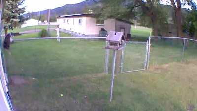 How do I keep this dog in?