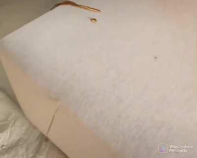 Water proof bedspread