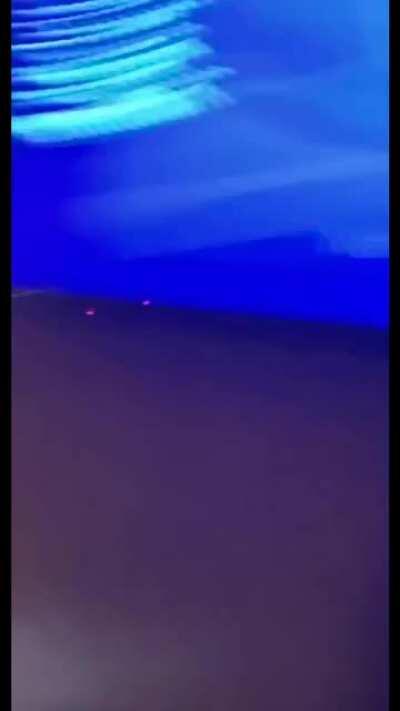 Welcome to Game Stop