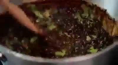 Venezuelan Food - Arrepa, Empanara