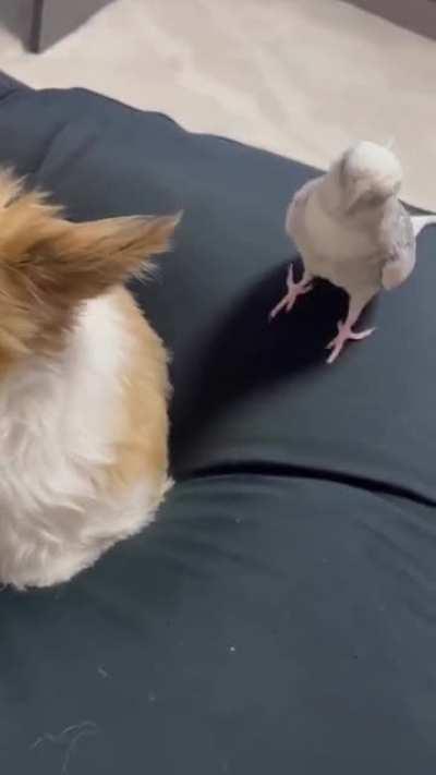 Cada vez que entras a un centro comercial en diciembre