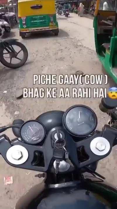 Watch till the end!!