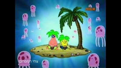 כל_הלילה_במ