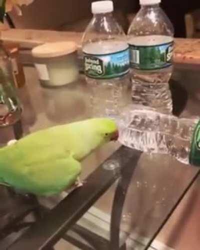 TeRRORiSt DEsTRoYS POLaND'S WatEr SuPPLY, DANCeS MANIaCally afTEr ENtIre PopULATION diEs!!!