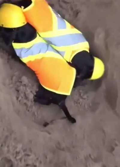 Who we can really thank for clearing the canal blockage