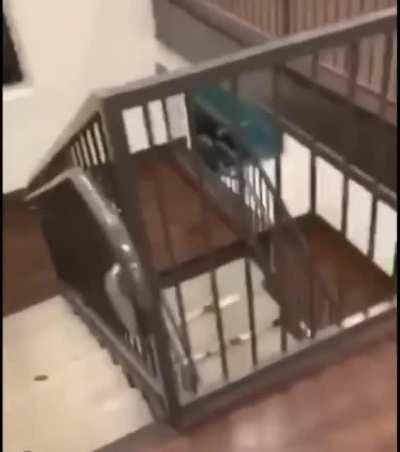 HMFT after I slide down these stairs just like in the movies