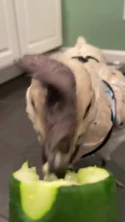 Is chicken ASMR a thing? Now it is