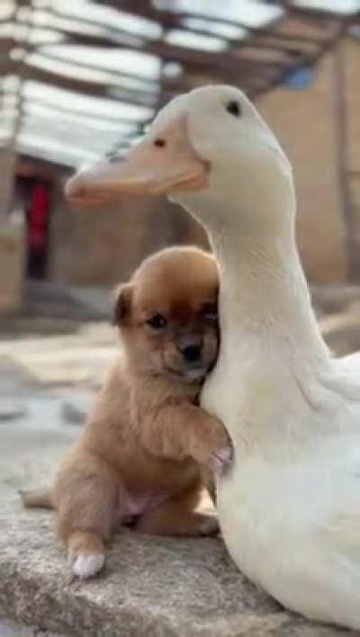 This duo is so adorable 🥰😍🥰