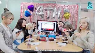 Dreamcatcher Unveil their Official Light Stick - Coming Soon! (210113 DC V Live)