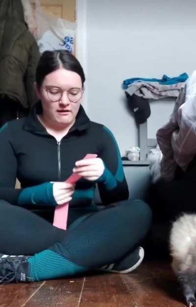 Ferret interrupts the exercise session.