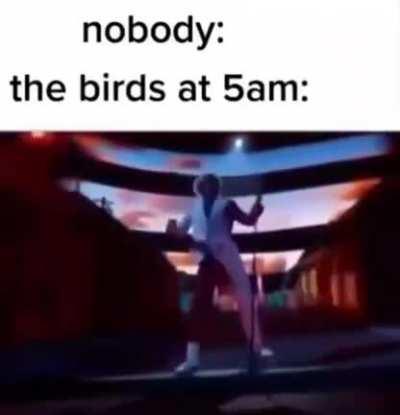 One of the most annoying thing on the earth