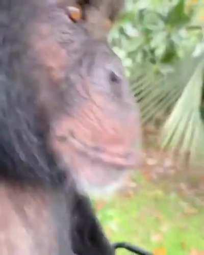 Ooooo aaaaaaa aaaaaaaa