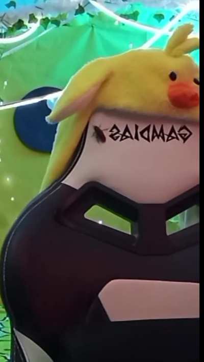 Flyroach on Stream!!