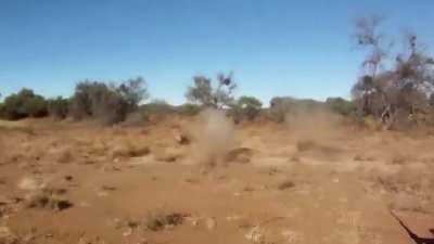 Documentary film maker gets discovered by a group of lions he was filming