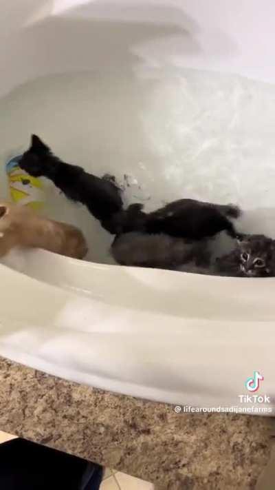 Wet wunks wiggle in water 