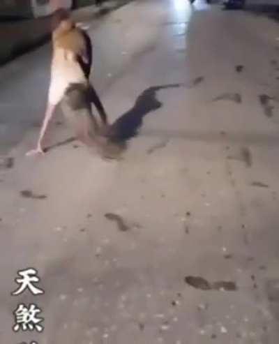 Dancing in the middle of road