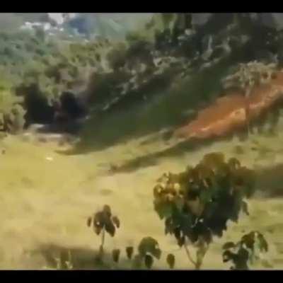 Virou um coma a natureza em sua roda