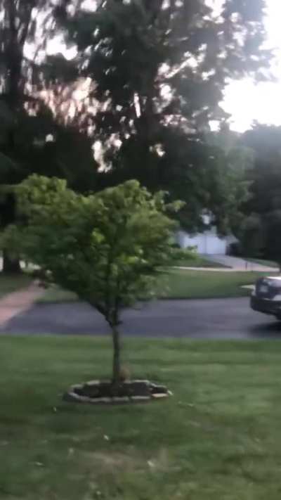 Peeping tom gets belligerent and aggressive after being told to keep walking.