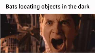 He's something of a Batman himself