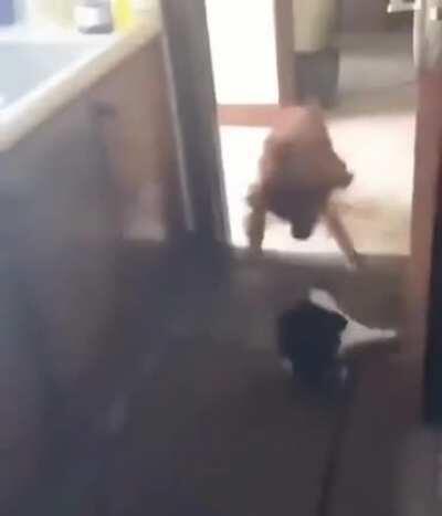 Best offensive play ever