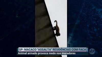 É isso que você faz quando não está stremando Muquinha? Aceita aí Ademir