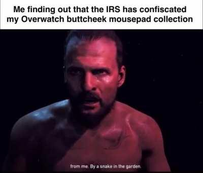 We live in a society