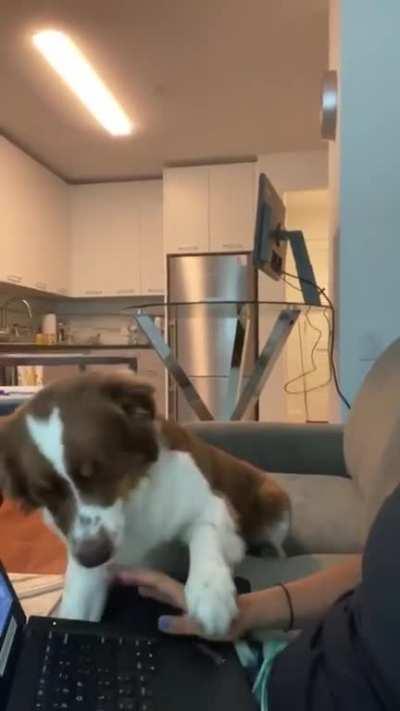 No Such Thing as Working From Home