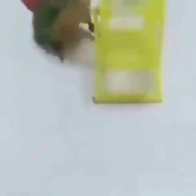 Passarinho FDP (som estourado)