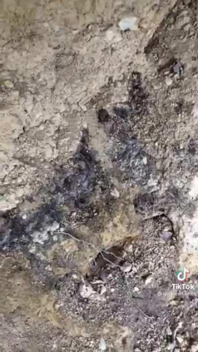 This has diy written all over it