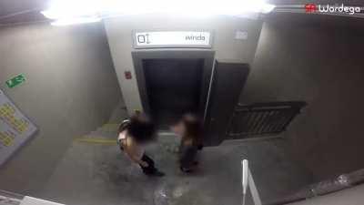 Someone bought this costume for their dog and let him loose.