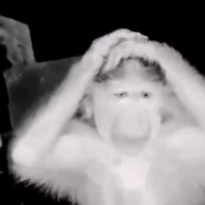 when that post nut clarity hits you