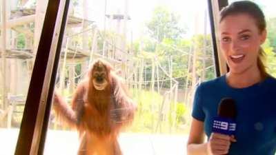 If that glass breaks humanity is doomed