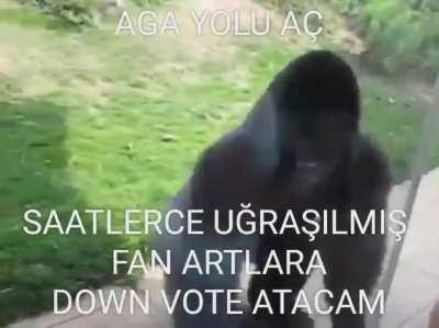 hazır hater kitle oluşmuşken