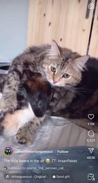 The thud at the end is just 🤌🏼