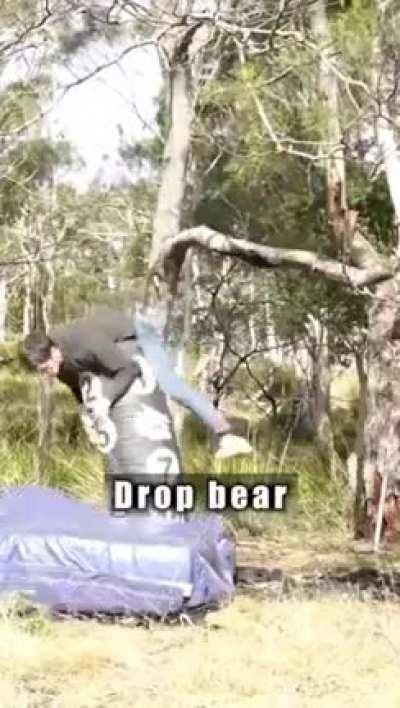 The panther attack was sleek AF