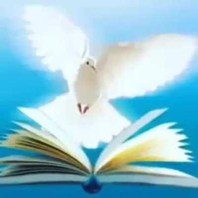 Aver si no tengo shadowban