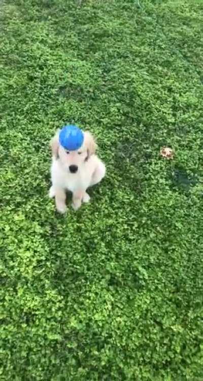 We are still working on the whole catching thing