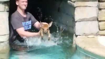 You guys ever watched a little baby deer slowly drown to death?