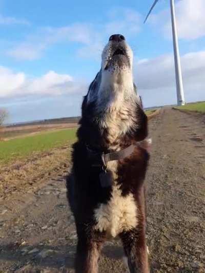 Caske'a nearly 15 ... a bit Rickety 🙌 😍