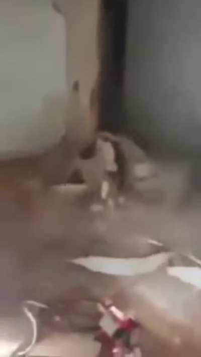 Kid fell with the whole wall