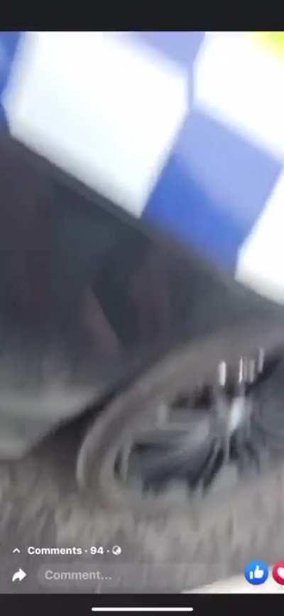 Do as I say not as I do