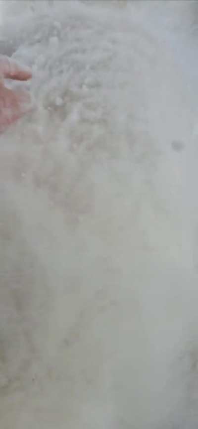 Big Snowstorm today ! Best day for a long nap outside!