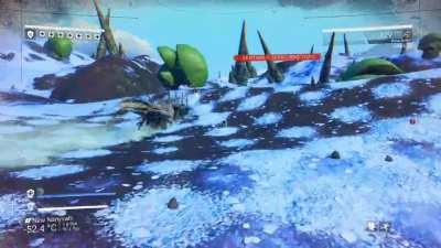 One of the most awesome creatures I've ever encountered in the game.