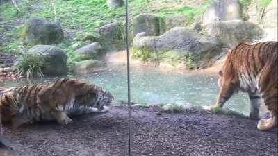 Pera aí cara, eu tava brincando... relaxa aí mano, olha teu coração... O.O