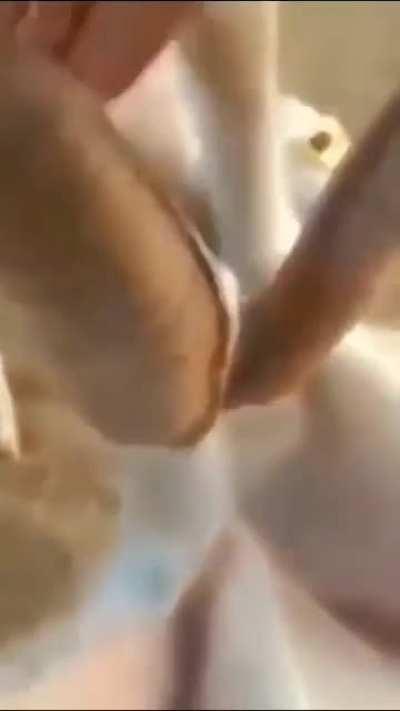 I think all the fellas felt that one...