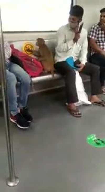 Monke in Metro